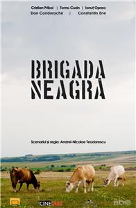 Brigada neagra (2013) watch online HD