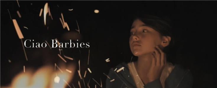Ciao Barbies (2010) watch online HD