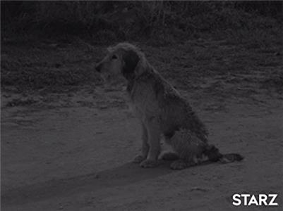Death Valley Days The Mystery of Suicide Gulch (1952–1970) watch online HD
