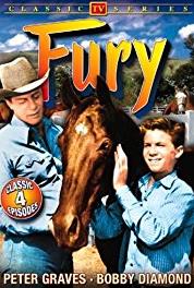 Fury-Die Abenteuer eines Pferdes Trial by Jury (1955–1960) watch online HD