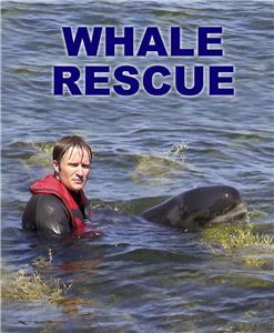 Maritime Vignettes Whale Rescue (2009– ) watch online HD