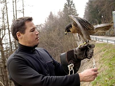 Mit Jeff Corwin um die Welt The Falcon's Swoop (2005– ) watch online HD