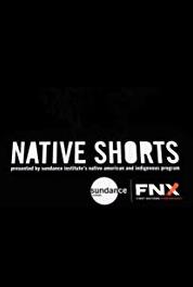 Native Shorts Presented by Sundance Institute's Native American and Indigenous Program Red Buffalo Skydive - Two Cars One Night (2013–2019) watch online HD