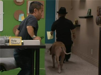 Pit Boss Goodbye Ashley (2010– ) watch online HD