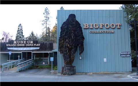 Sasquatch: Out of the Shadows The Birthplace of Bigfoot (2016– ) watch online HD