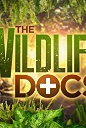 The Wildlife Docs Best of Africa (2013– ) watch online HD