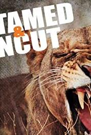 Untamed & Uncut Pregnant Tiger Rescue (2008– ) watch online HD
