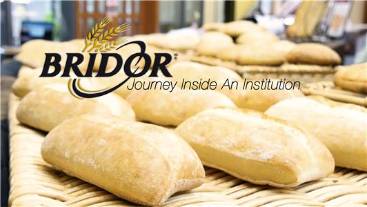 Bridor: An Institution (2016) watch online HD