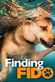 Finding Fido Fiding Daane and Marisa (2017–2018) watch online HD