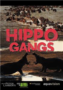 Gangland Killers Hippo Gangs (2014– ) watch online HD