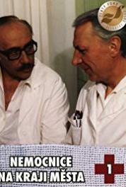 Nemocnice na kraji mesta Rozvod (1977– ) watch online HD