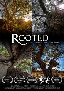 Rooted  watch online HD