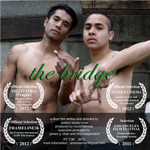 The Bridge (2012) watch online HD