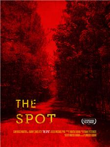 The Spot (2016) watch online HD
