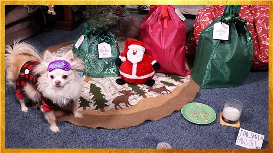 Why Wait Productions Gizmo Waits up for Santa Claus (2011– ) watch online HD