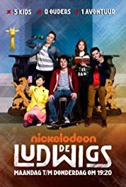 De Ludwigs De politie inval (2016– ) watch online HD