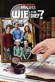 De Ludwigs: Wie is de Dief? De inbraak (2017) watch online HD