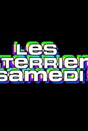 Les Terriens du samedi! Episode dated 9 February 2019 (2018– ) watch online HD