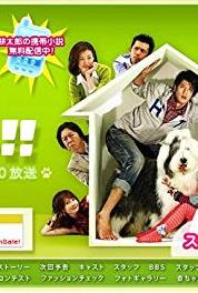 Ô! Mai gâru!! I am not a servant! (2008– ) watch online HD