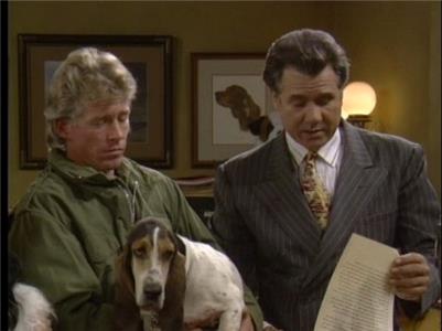Night Court My Life as a Dog Lawyer (1984–1992) watch online HD