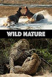 Wild Nature Jackals: cunning predator (2008– ) watch online HD