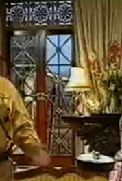 Heil Honey I'm Home! The Mom Who Came to Dinner (1990) watch online HD