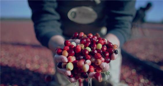 Ripe: A Story in Every Bottle (2017) watch online HD