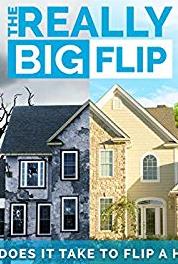The Really Big Flip Flopping flips (2008– ) watch online HD