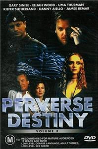 The Witness (1993) watch online HD
