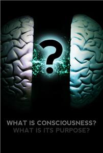What Is Consciousness? What Is Its Purpose? (2017) watch online HD