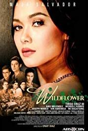 Wildflower Episode #1.28 (2017–2018) watch online HD