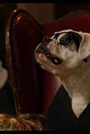 Dr. Woofenberg Dray (2017– ) watch online HD