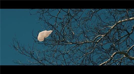 8 Million Is the Loneliest Number  watch online HD