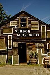 A Window Looking In Dehli to Dublin (2010– ) watch online HD
