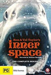 Inner Space Sink Hole Divers (1973– ) watch online HD