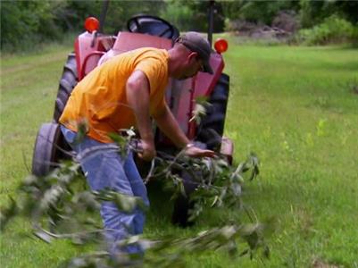 Swamp Pawn Episode #2.11 (2013– ) watch online HD