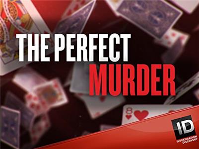 The Perfect Murder The Bedroom Basher (2014– ) watch online HD