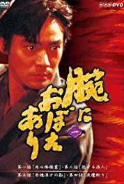 Ude ni oboe ari The Revenge Raiders (1992–1993) watch online HD