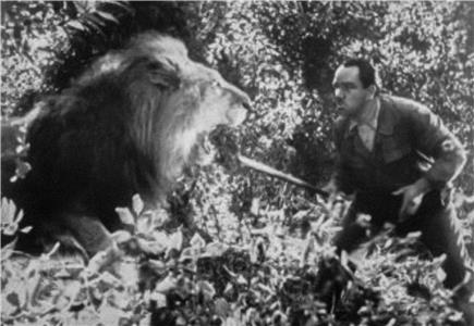 Wenn Tiere erwachen (1955) watch online HD