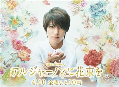 Algernon ni Hanataba wo  watch online HD