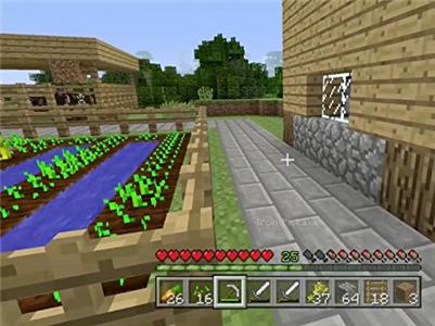 Minecraft PS4 Gameplay - Zebra Gamer What A Surprise! (2014–2016) watch online HD