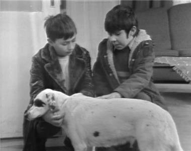 Pozoriste u kuci Strasan pas (1972–1984) watch online HD