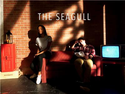 The Seagull (2018) watch online HD