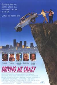 Driving Me Crazy (1991) watch online HD
