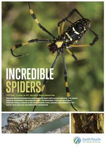 Incredible Spiders (2016) watch online HD