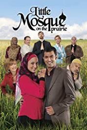 Little Mosque on the Prairie True Bro-mance (2007–2012) watch online HD