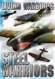 Living Warbirds: Steel Warriors (2009) watch online HD