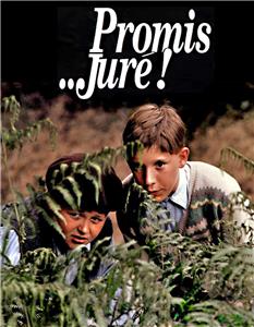 Promis... juré! (1987) watch online HD