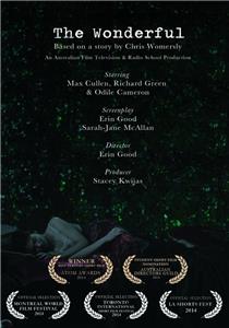 The Wonderful (2013) watch online HD
