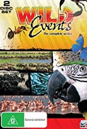 Wild Events The Flamingo Feast (2007– ) watch online HD